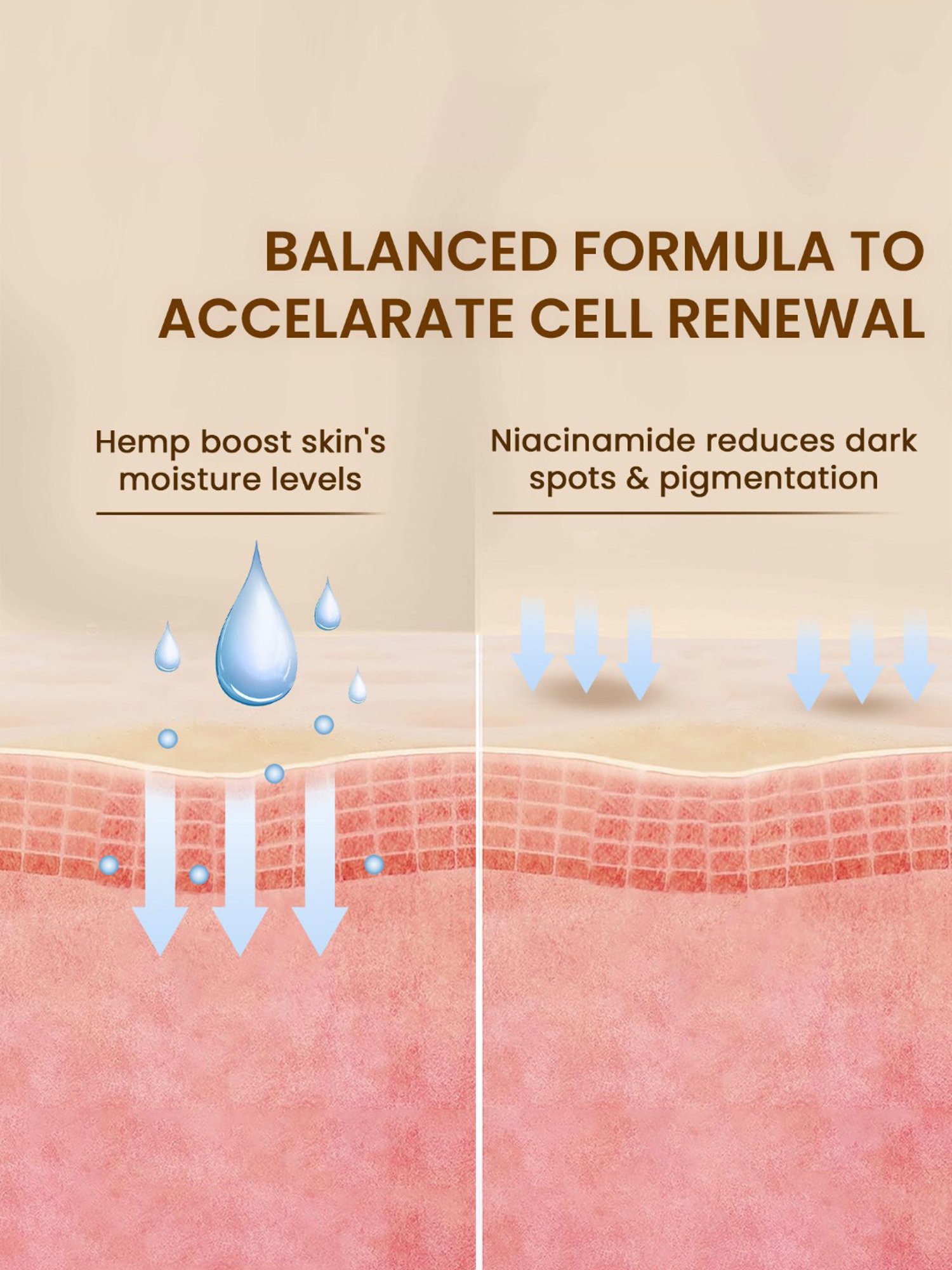 The Skin Story Hemp Seed Oil Holistic Face Serum - 40 ml