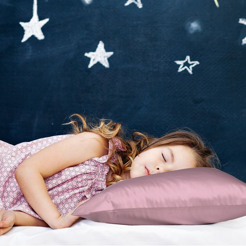 1 Pc Queen 100% Natural Pure Silk Pillowcase Mauve - PiccoCasa