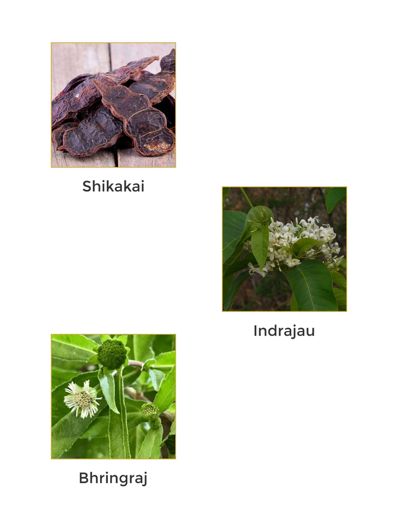 Vegetal Anti-Dandruff Shampoo - 200 ml