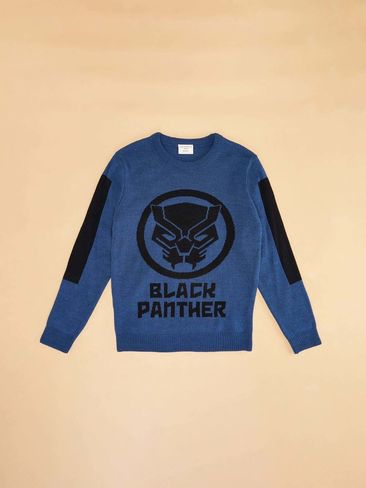 Pantaloons Junior Blue Cotton Printed Full Sleeves Sweater