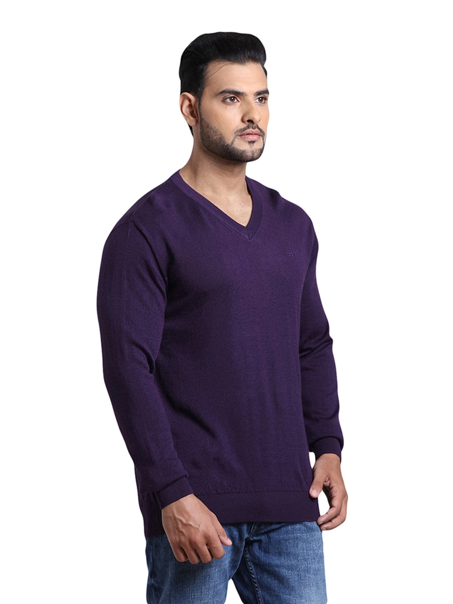ColorPlus Purple V Neck Sweater
