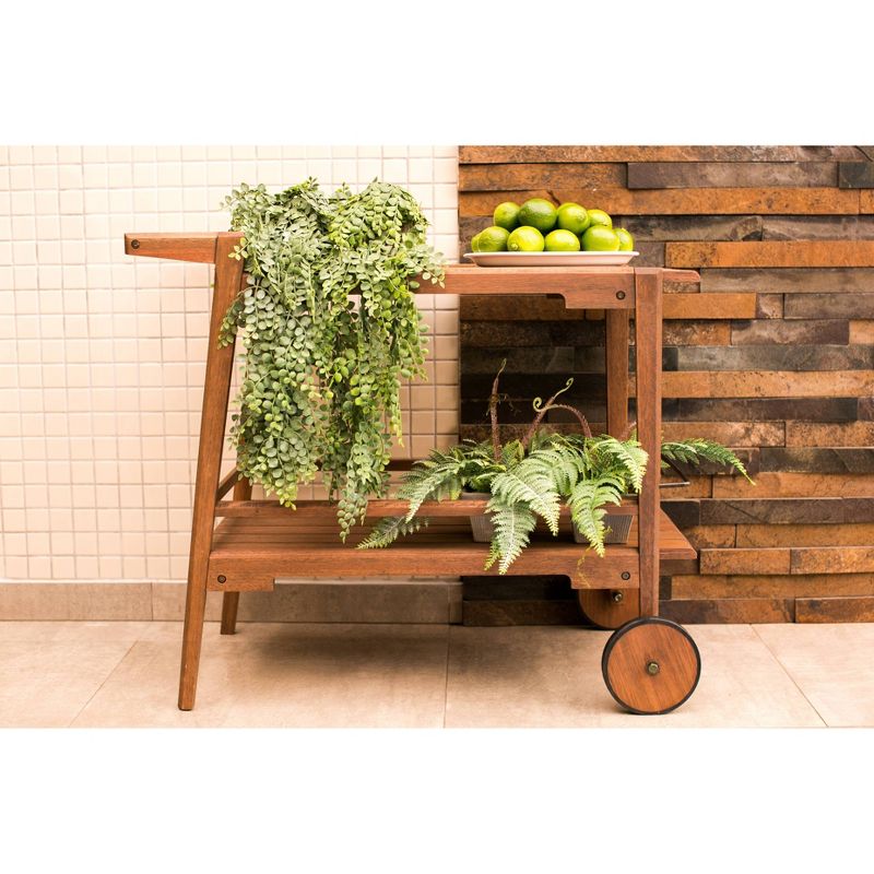 Otero Eucalyptus Wooden Outdoor Bar Trolley Cart - Alaterre Furniture