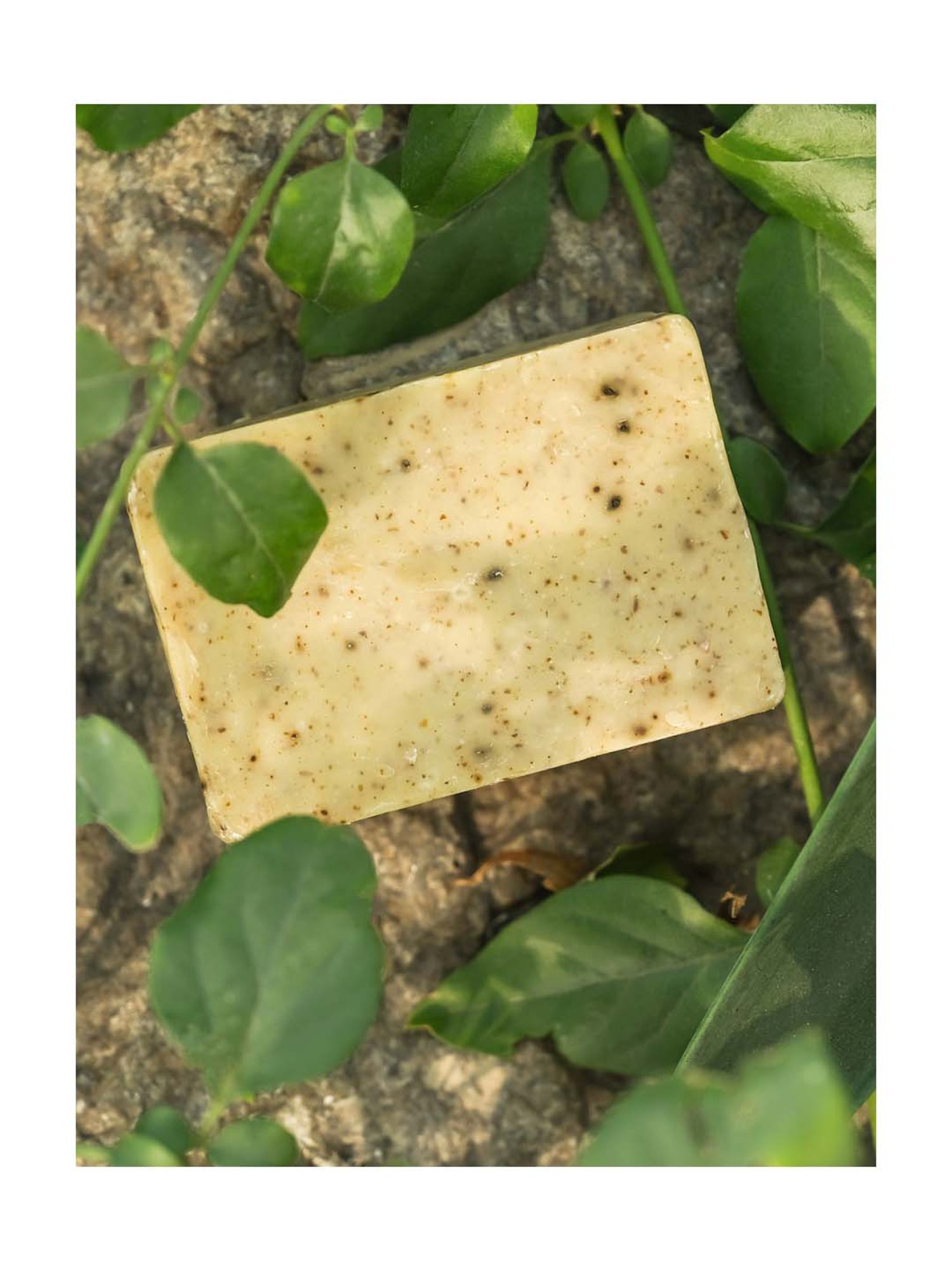 Naturalable Shampoo Bar - 100 gm