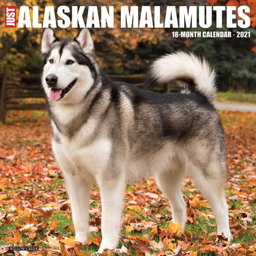 2021 Alaskan Malamutes Wall