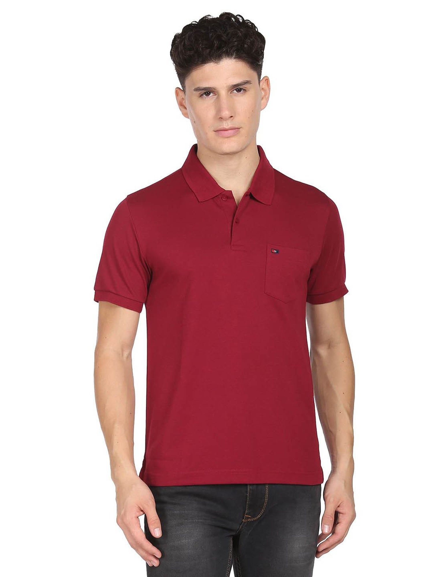 AD by Arvind Wine Slim Fit Polo T-Shirt