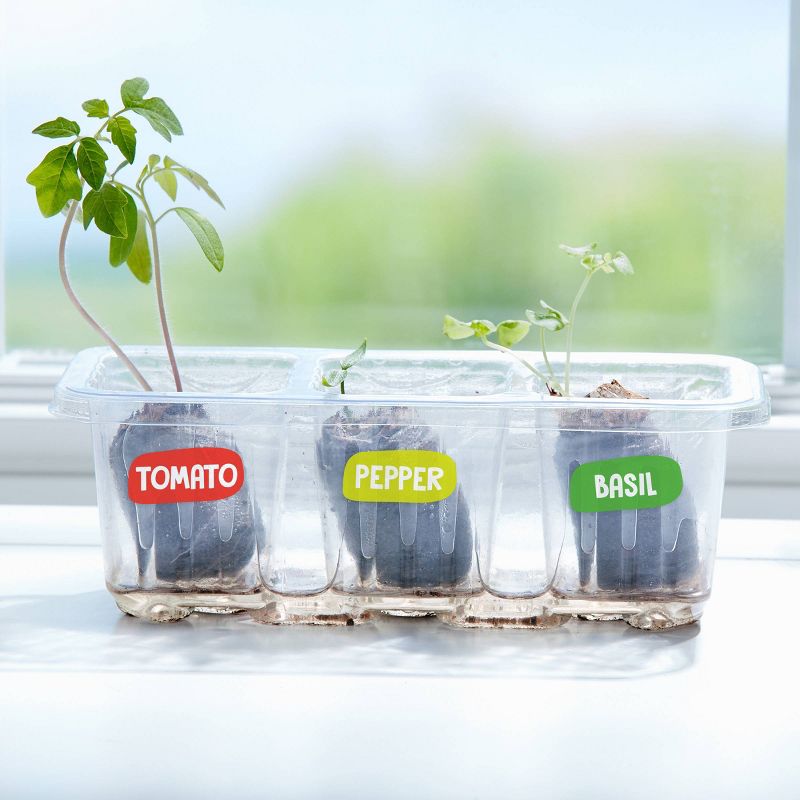 Pizza Garden Kit - Creativity for Kids