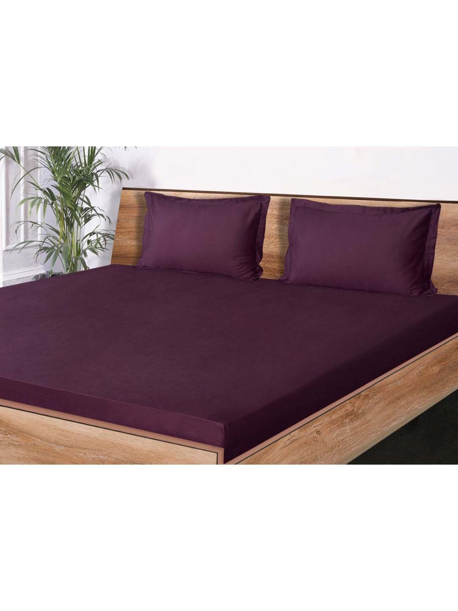 Mark Home Classic Purple Cotton 210 TC King Bedsheet with 2 Pillow Covers