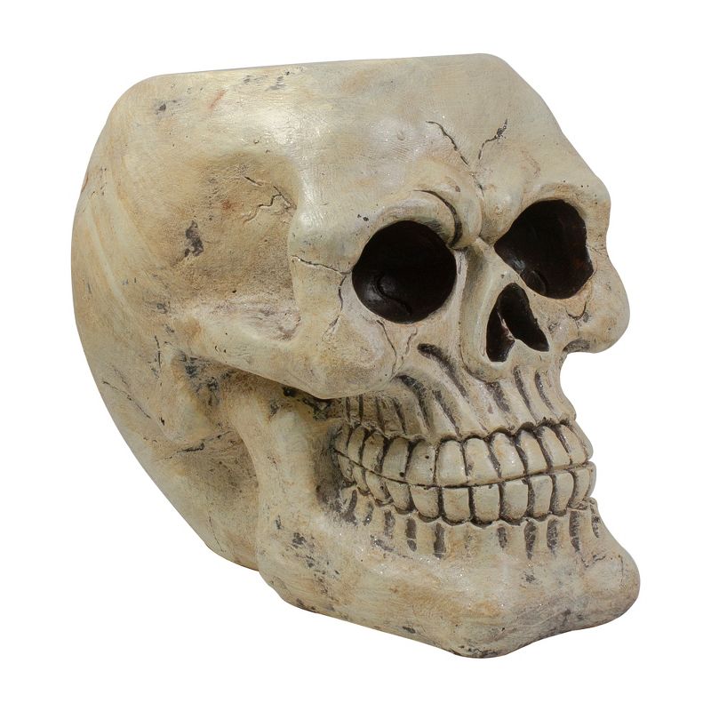 Northlight 3.5" Skeleton Skull Heads with Open Mouths Halloween Decorations 6ct - White/Gray