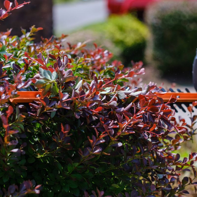 Scotts 20" Corded Hedge Trimmer