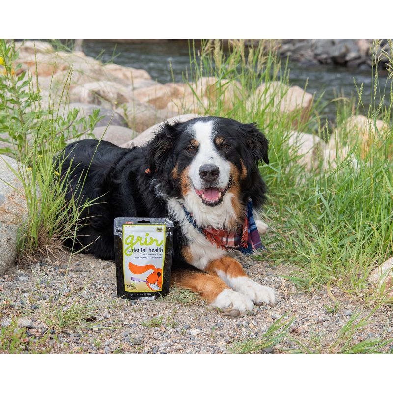 InClover Grin Dental Health Soft Chews For Dogs - 4oz