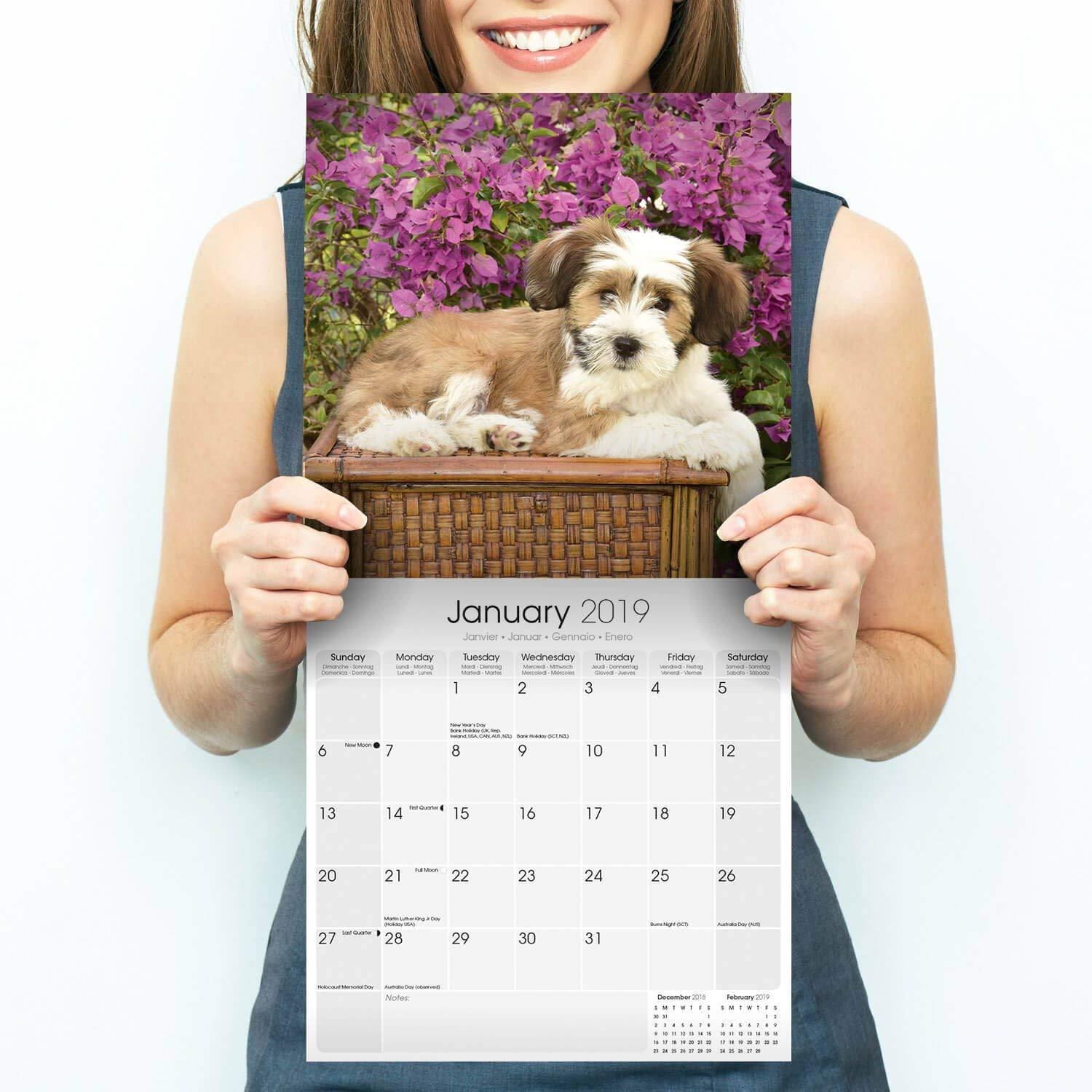 Tibetan Terrier Calendar 2019 - Dog Breed Calendar - Wall Calendar 2018-2019