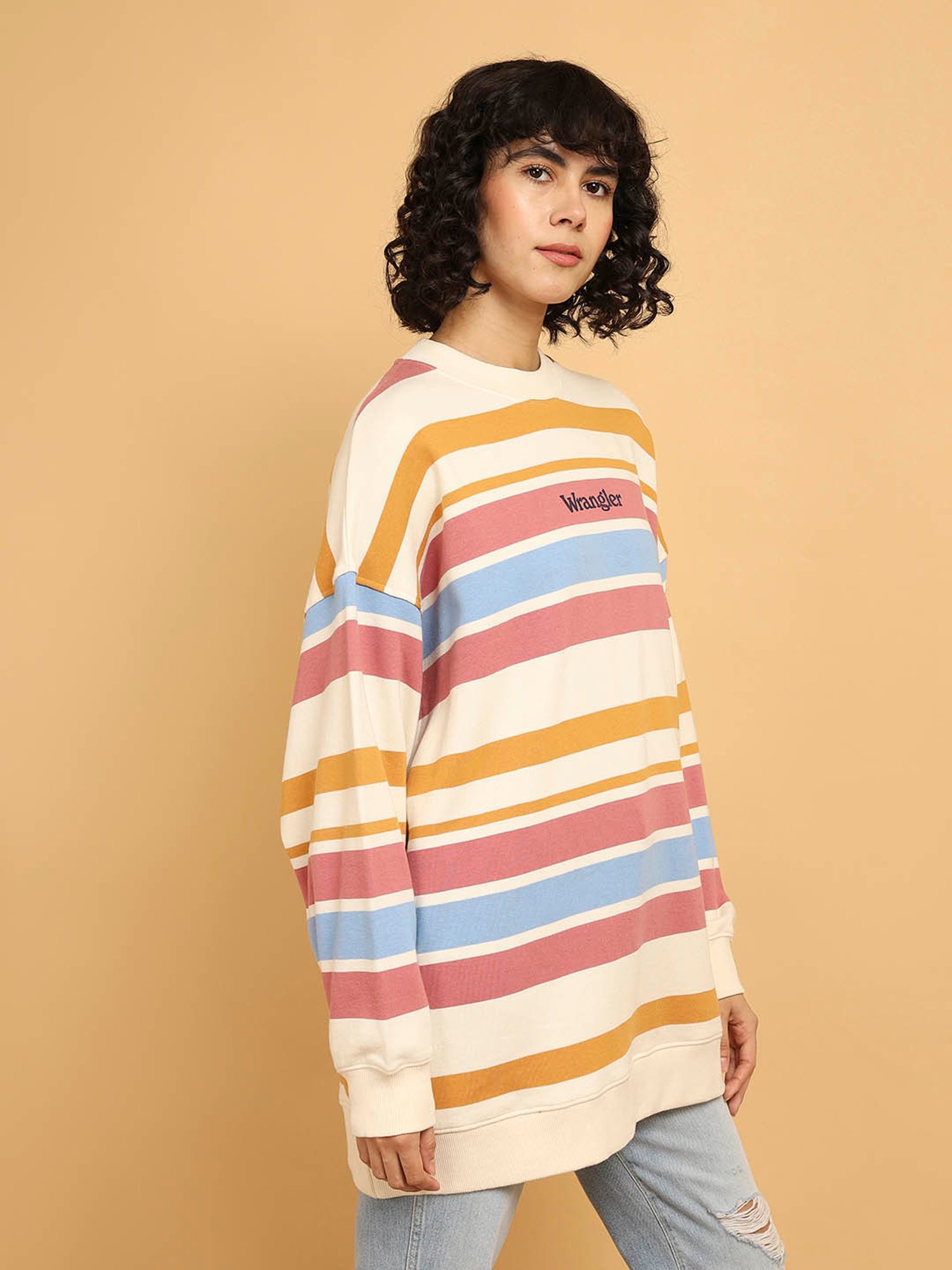 Wrangler Multicolor Striped Oversized Pullover