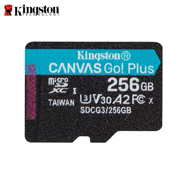 256GB MICROSDXC CANVAS GO PLUS 170R A2