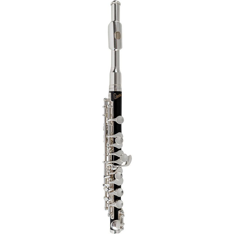 Allora AFL-250 Student Series Flute Offset G C-Foot