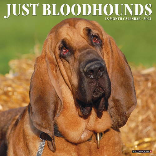 2021 Bloodhounds Wall