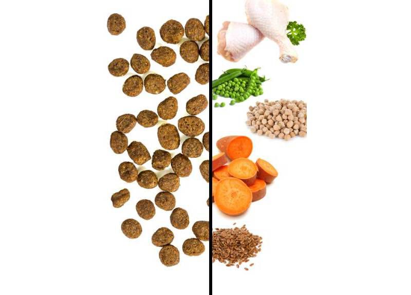 I and Love and You Naked Essentials Chicken and Duck Dry Cat Food - 11lbs