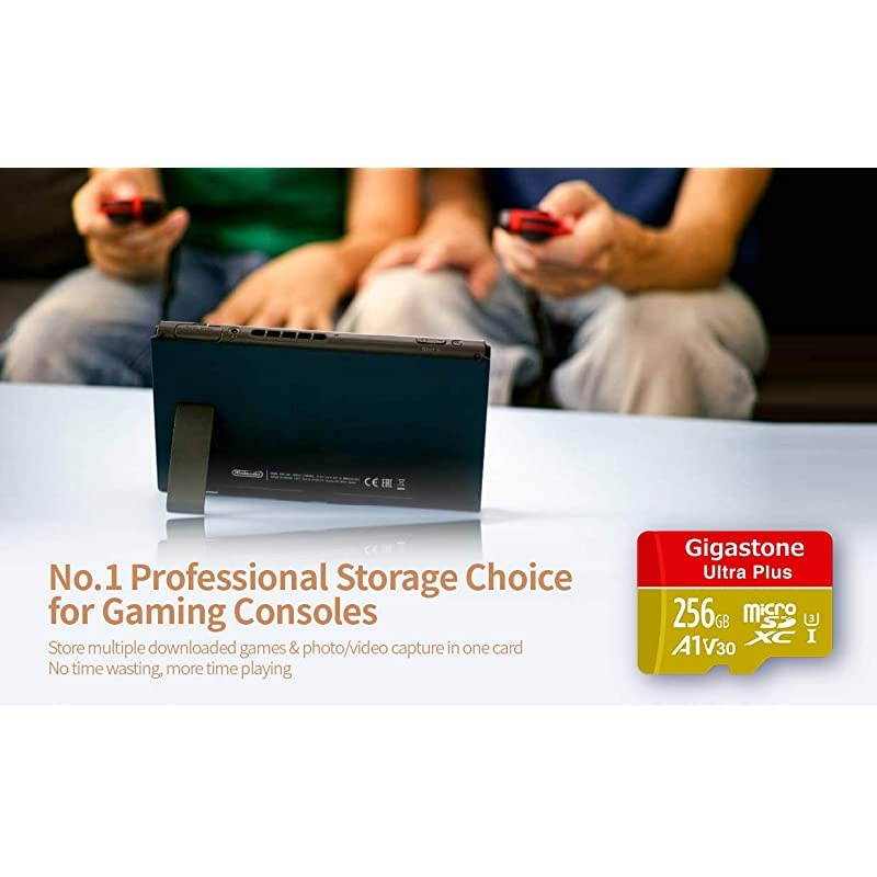 256GB Micro SD Card 4K Video Recording 4K Game Pro Nintendo Switch Compatible RW up to 10060MBs Micro SDXC UHSI A2 V30 Class 10
