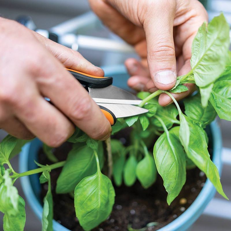 Picnic at Ascot Eco Gardening Tote with 3 Tools - Forest Green