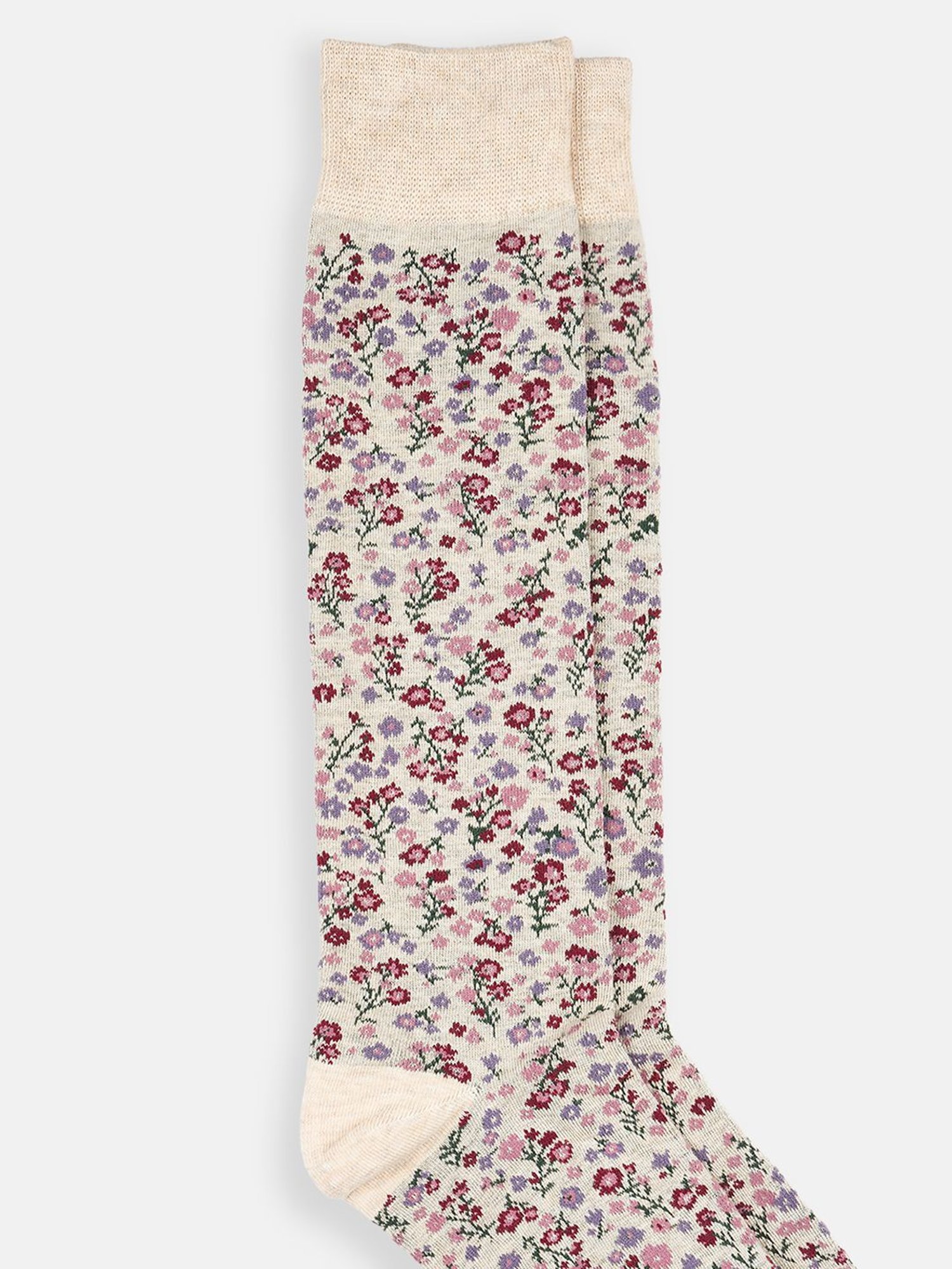 Gant Ankle Length Multicolor Cotton Solid Medium Socks - Pack of 5