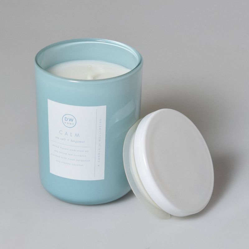 8oz Wellness Spa/Calm Sea Salt and Bergamot Candle - DW Home