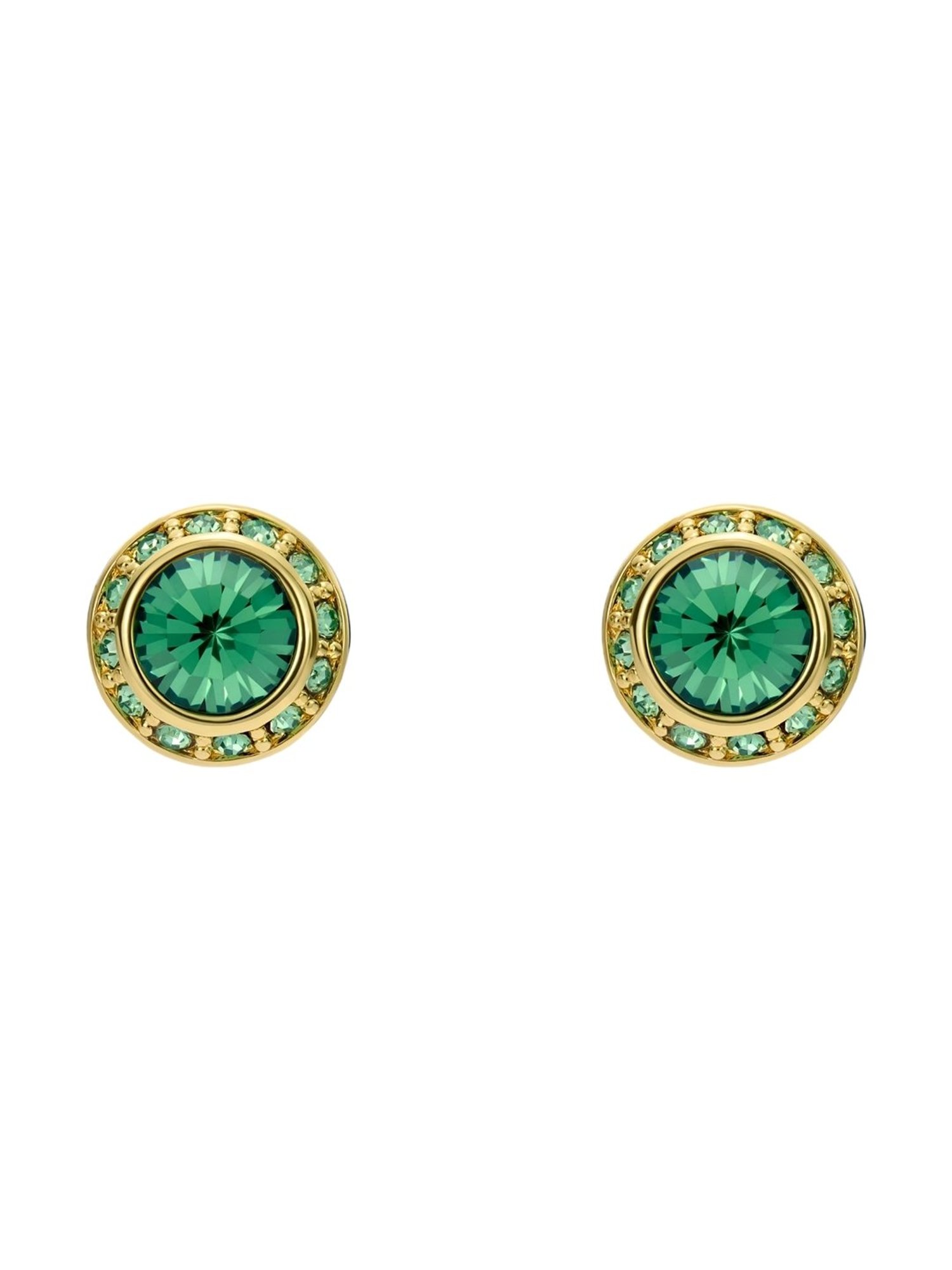 Ted Baker Solitaire Sparkle Crystal Stud Earrings for Women