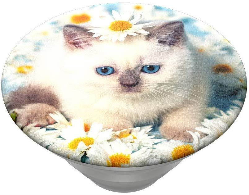 PopSockets PopTop (Top only. Base Sold Separately.): Swappable Top for PopGrip Bases, PopGrip Slide, Otter+Pop & PopWallet+ - Purr-FECT Flower