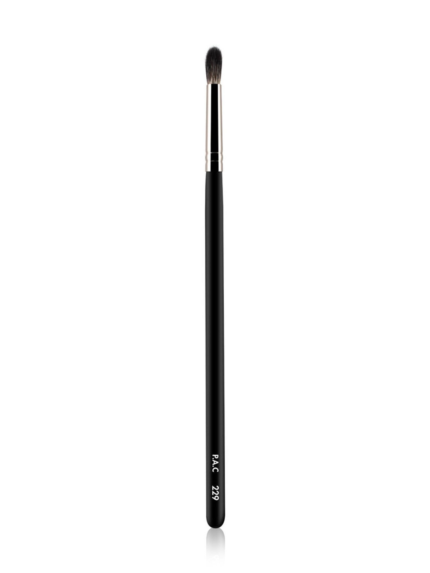PAC Eyeshadow Blending Brush 229