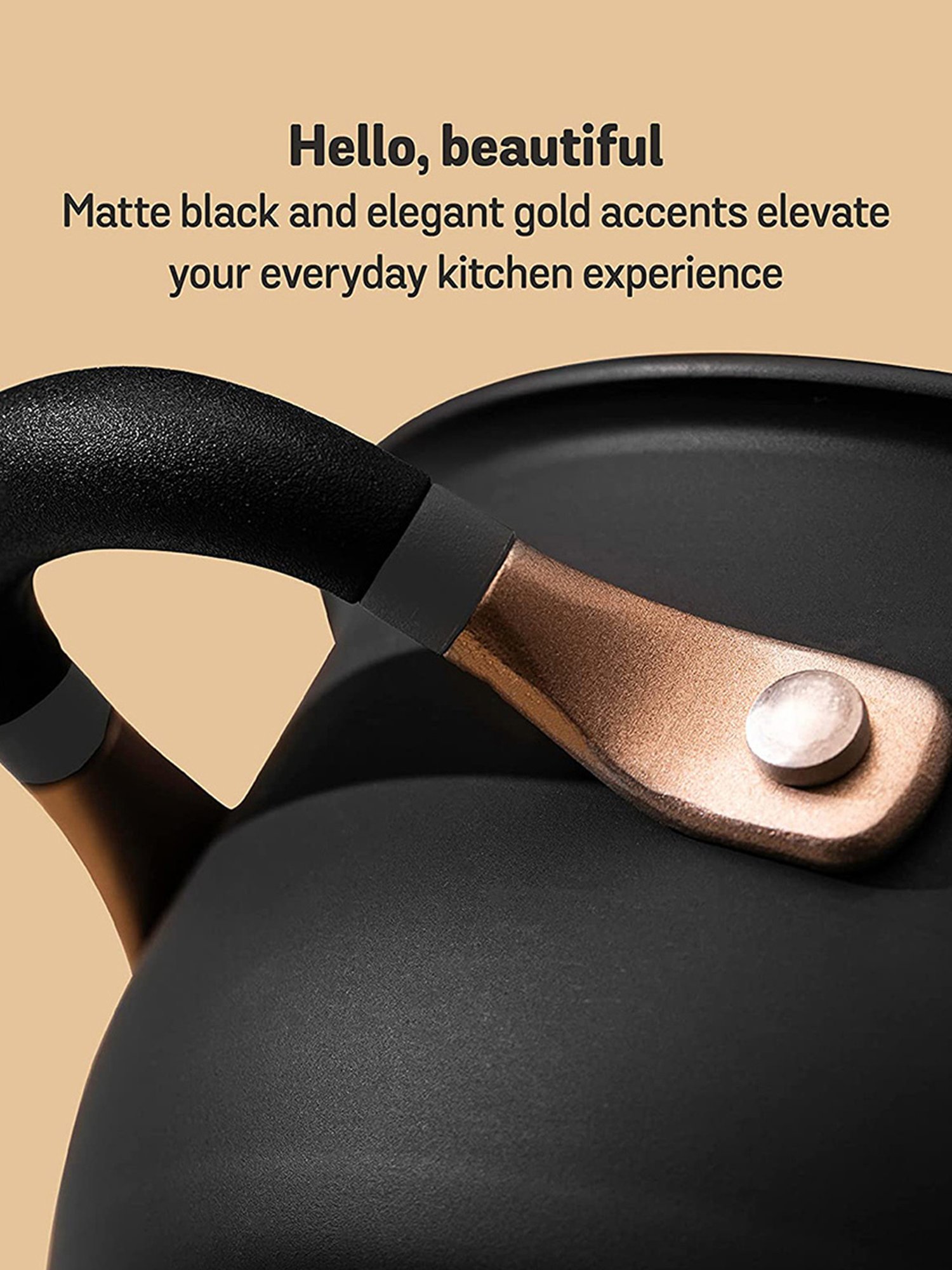 Meyer Accent Series Stainless Steel Stockpot, 6.5 Litres, Matte Black