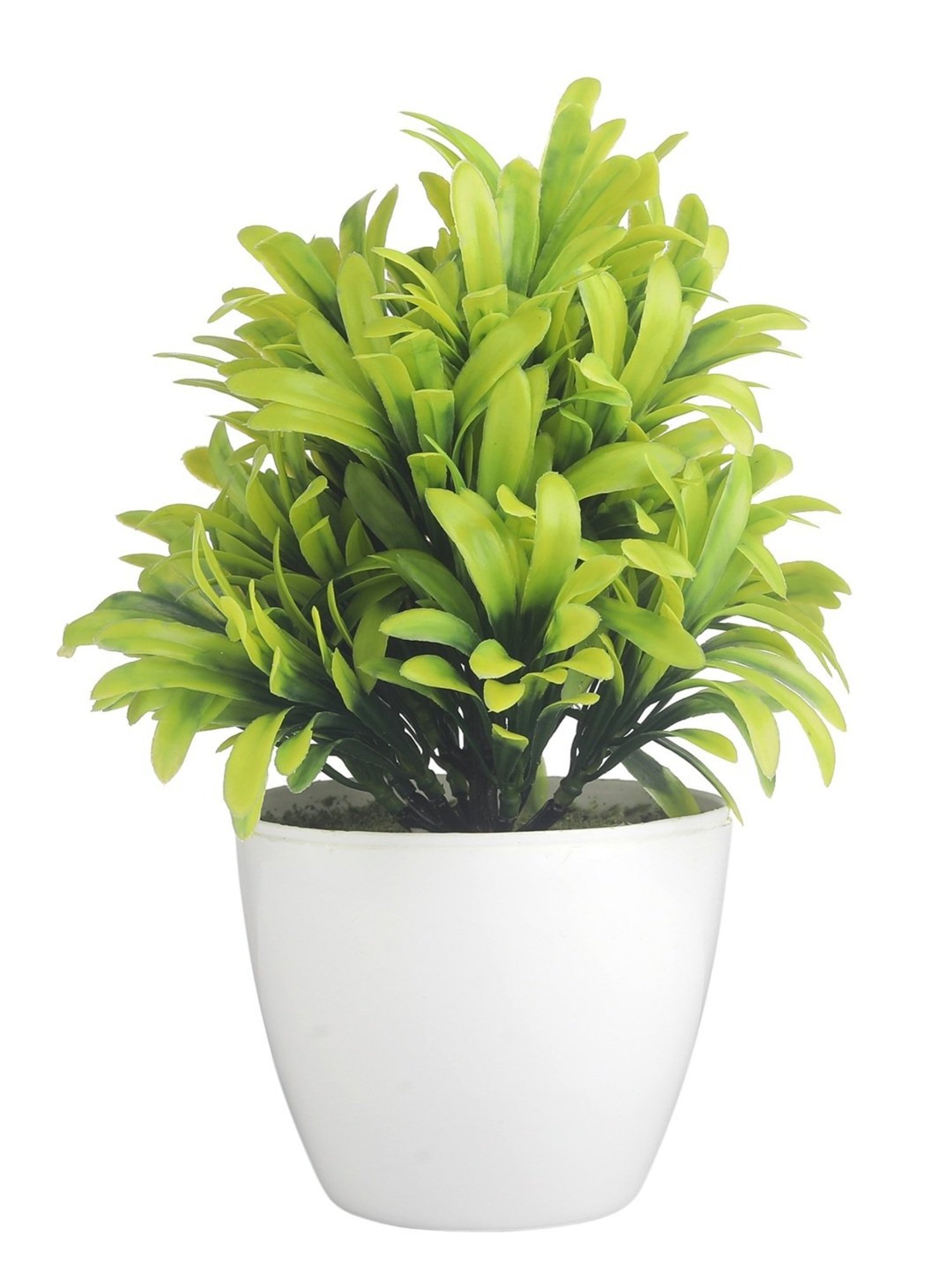 Mason Home Multi Traditional Motif Toran