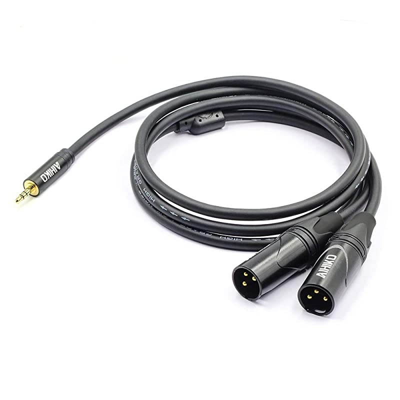 3.5mm (1/8 Inch) Mini Jack TRS Stereo Male Plug to Dual XLR Male Y Splitter Patch Breakout Cable, 10 Feet