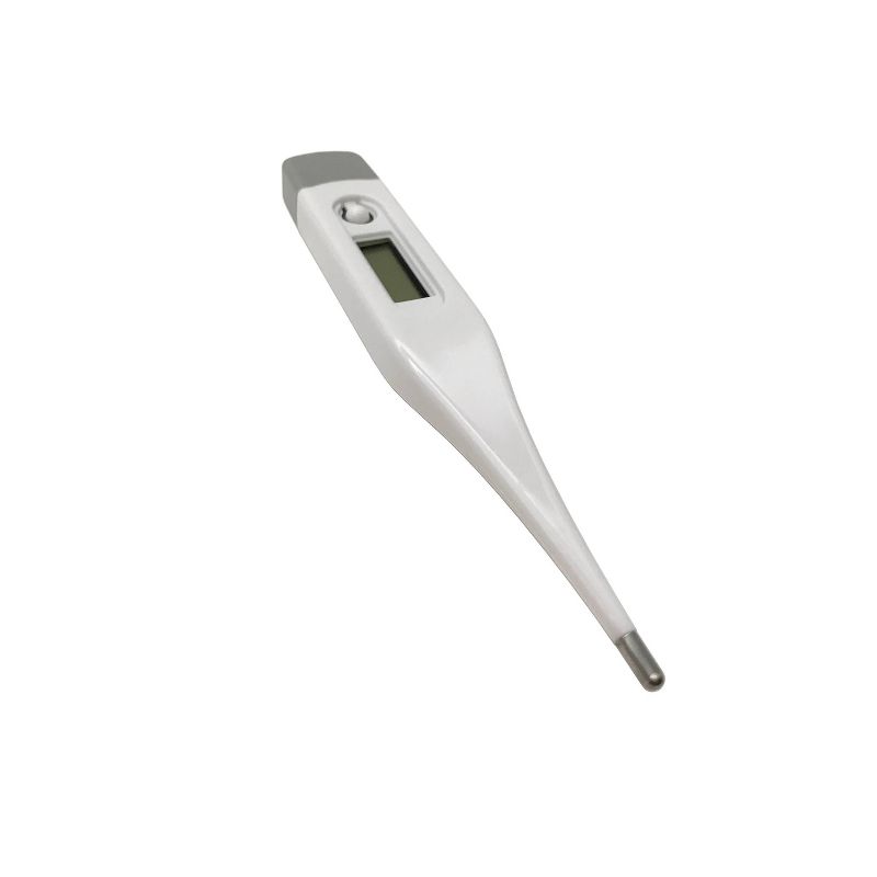 Packard Bell Digital Thermometer