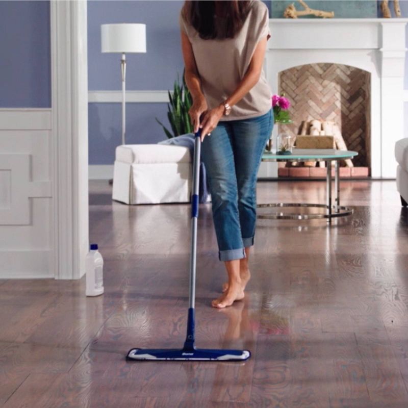 BISSELL 22 floz Oxy Stain Destroyer Pet For Carpet and Upholstery