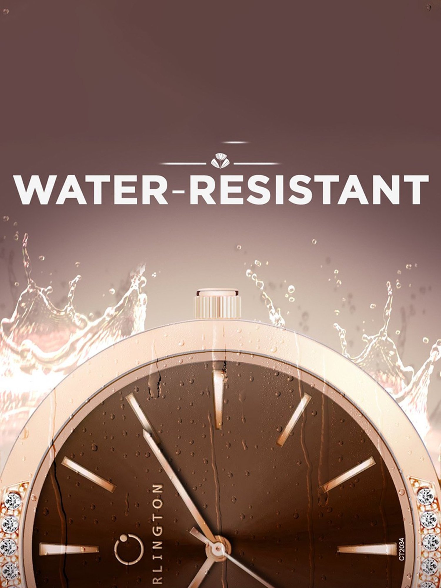 Carlington Iconic 2034Two Tone Brown Analog Watch for Women