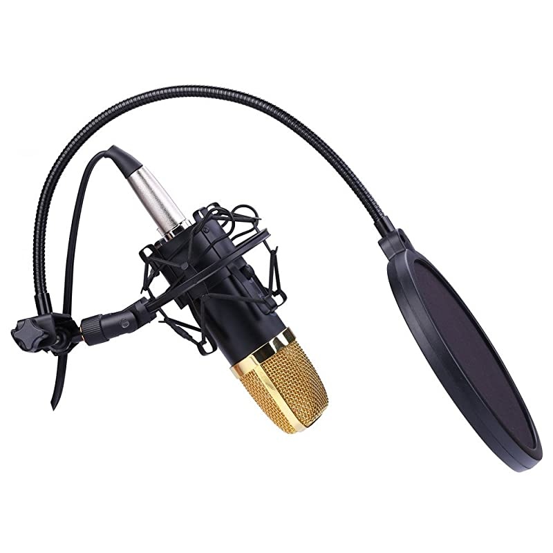 Shock Mount with 6 Inch Mic Round Shape Wind Pop Filter Mask Shield Mic AntiVibration Suspension Shock Mount Holder Clip for Diameter 18inches to 21 inches