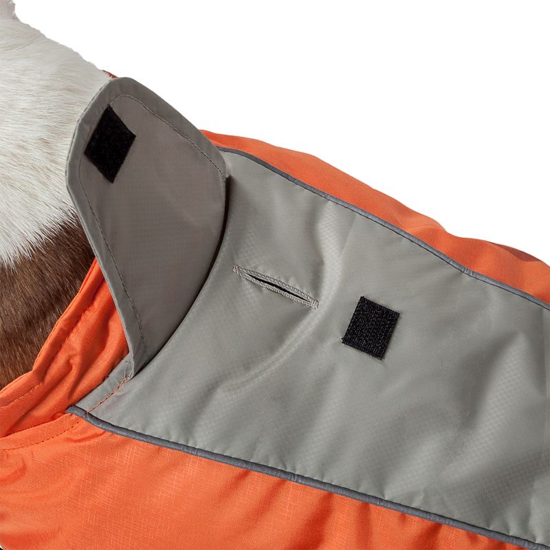 Pet Apparel Helios Dog Coat - M - Orange Dark Gray Light Gray