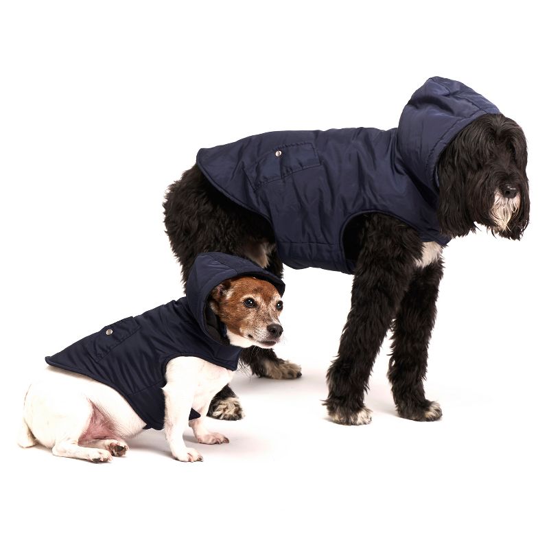 QALO Dog and Cat Tile Enabled Traq - Pink