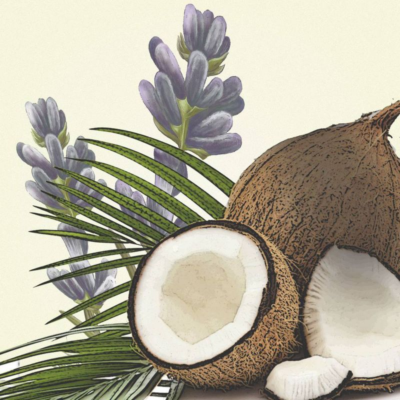 Old Spice Fresher Collection Fiji Deodorant - 3.0oz