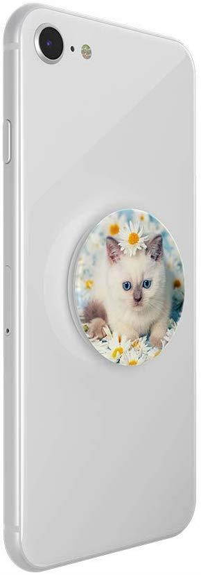 PopSockets PopTop (Top only. Base Sold Separately.): Swappable Top for PopGrip Bases, PopGrip Slide, Otter+Pop & PopWallet+ - Purr-FECT Flower