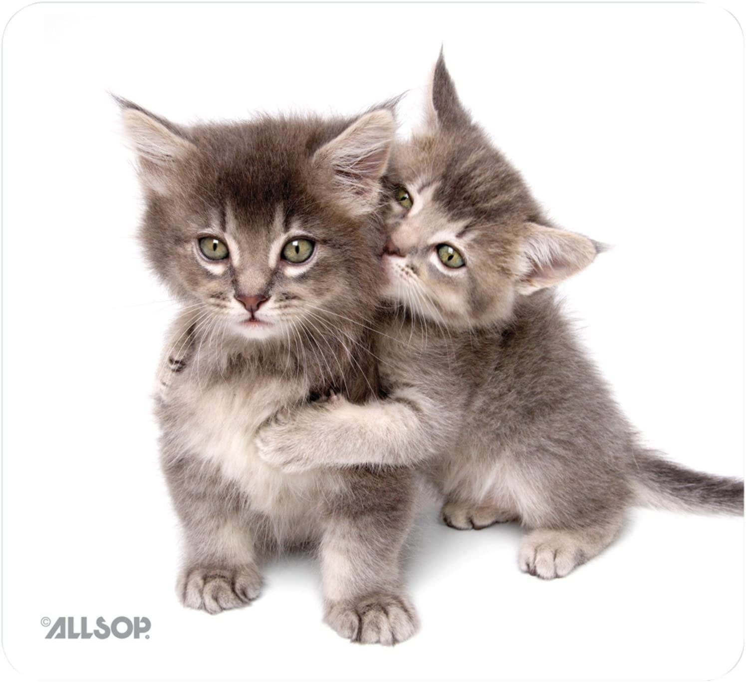 Allsop Nature's Smart Mouse Pad 60% Recycled Content, Kittens (30184)