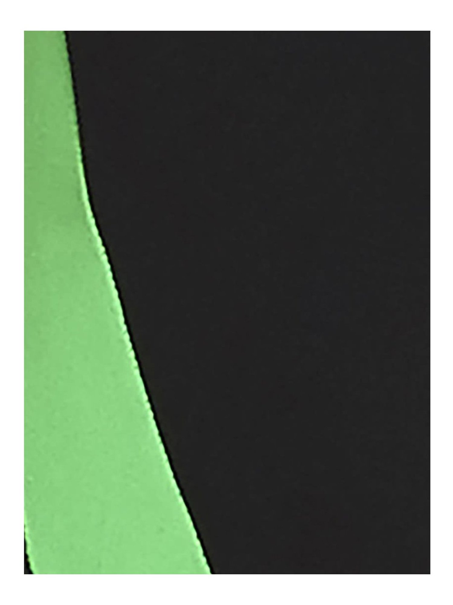 Speedo Watermelon Regular Fit Printed Swim Shorts