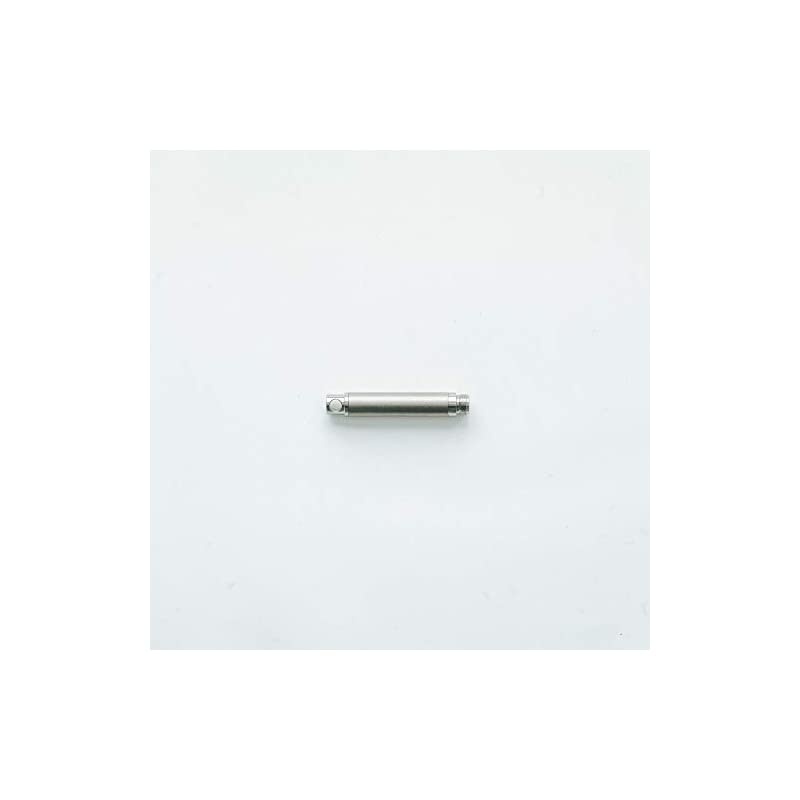 The  - World's Smallest Titanium Toothpick | EDC Keychain Tool Camping Toothpick | Outdoor Concealable Micro Toothpick with Protective Case Holder