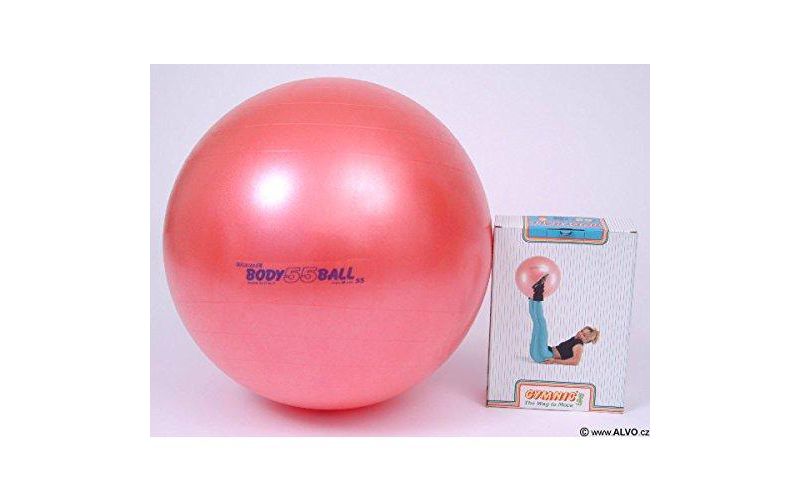 Gymnic Body Ball 55 Therapy Ball - Red