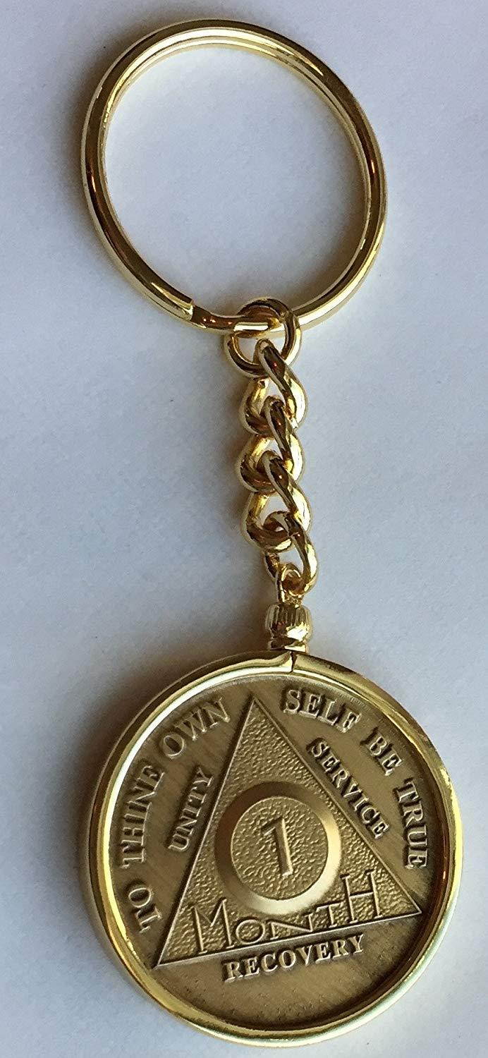 Wendells 1 Month 30 Day AA Sobriety Chip In Removable Gold Plated Keychain Holder