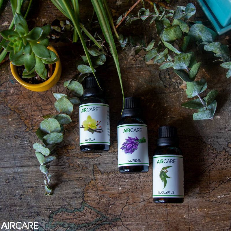 AIRCARE 3 bottles/10ml Variety Pack Essential Oil EOVEL103PK