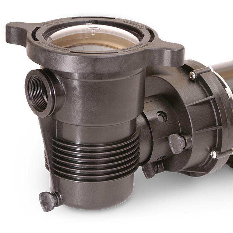 Pentair 347990 OptiFlo Vertical 1 HP 115 Volt 2 Speed Above Ground Swimming Pool Water Pump with 3 Foot Cord with Standard Plug