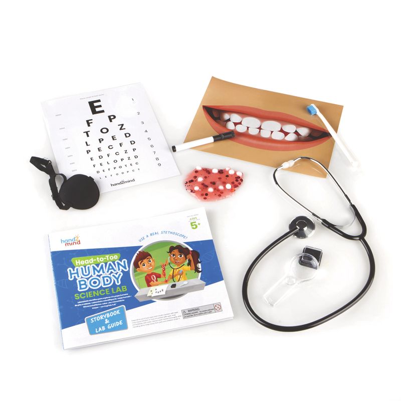 Prehistoric Sea Creatures Terrarium - Thinkbox