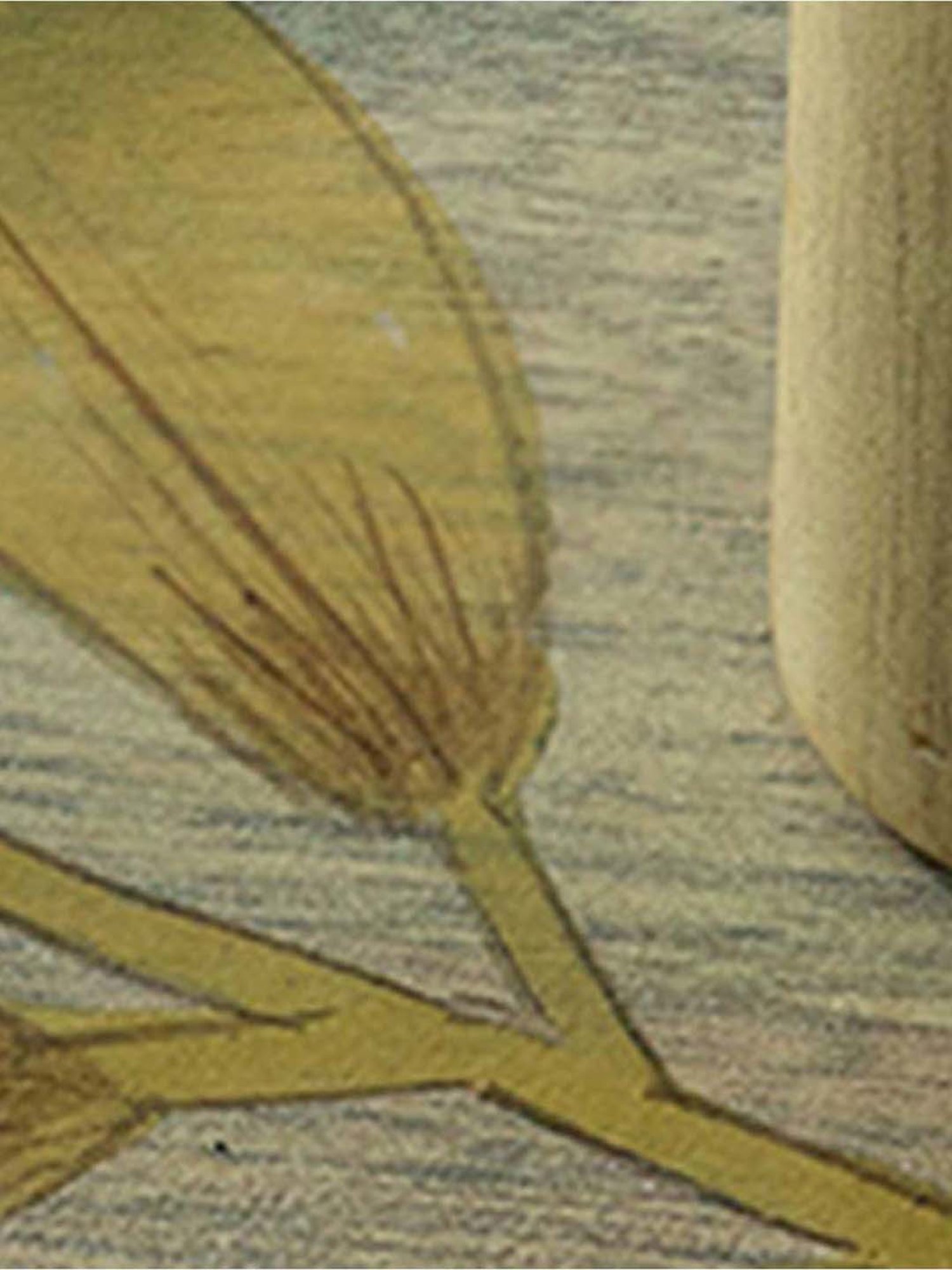 The Indus Valley Brown 6 Piece Wooden Cooking Tool Set