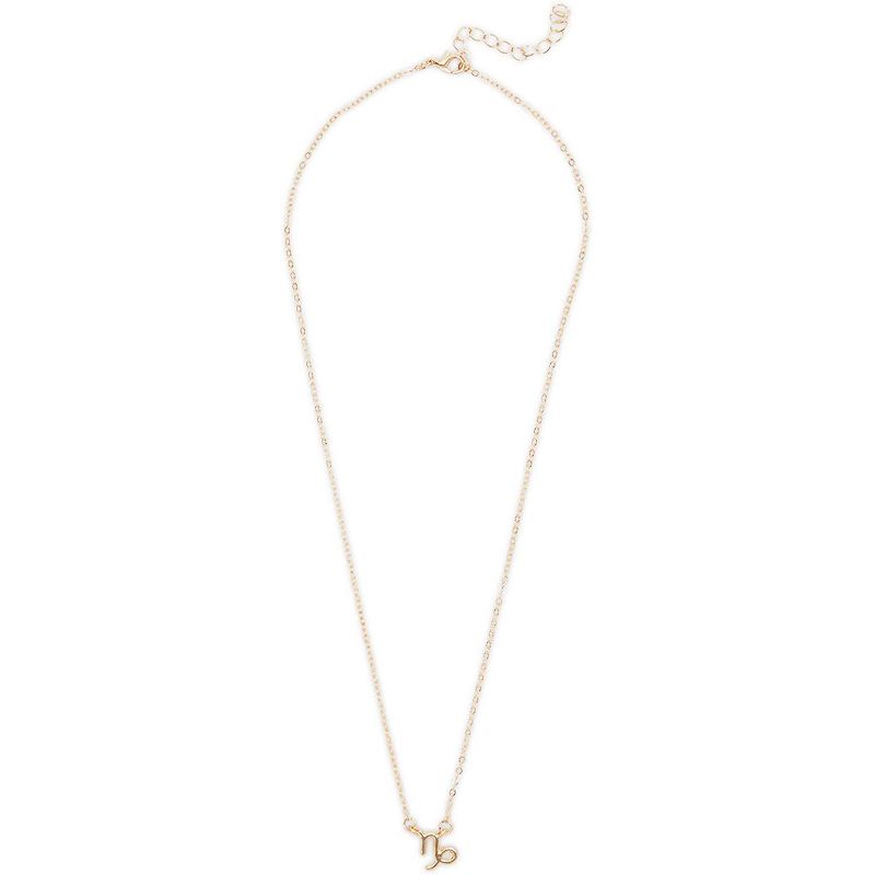 Zodaca 2 Piece Capricorn Zodiac Necklace and Bracelet Jewelry Set for Women, Gold