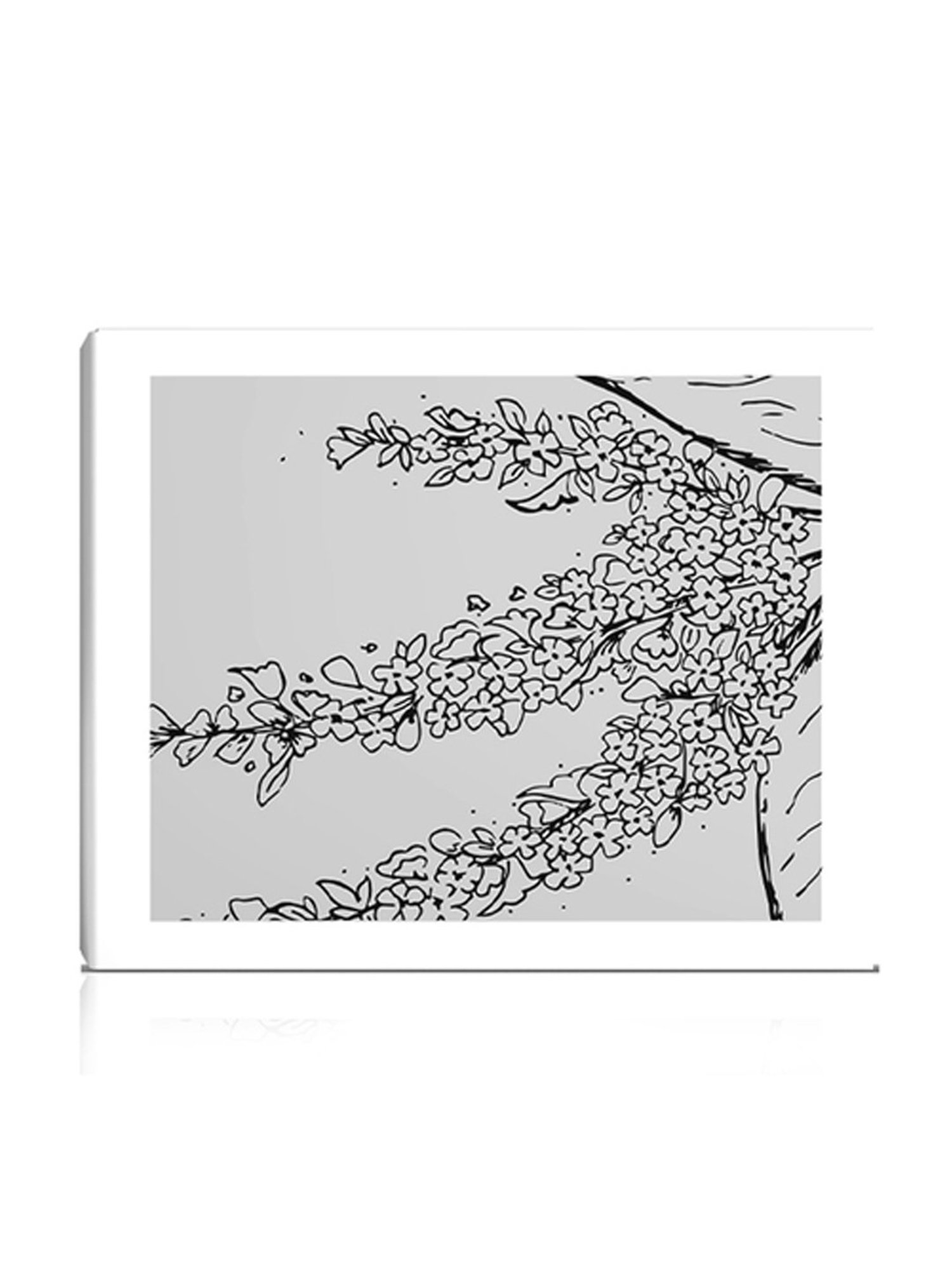 Secret Alchemist Fade Acne Scars - 30 Gm