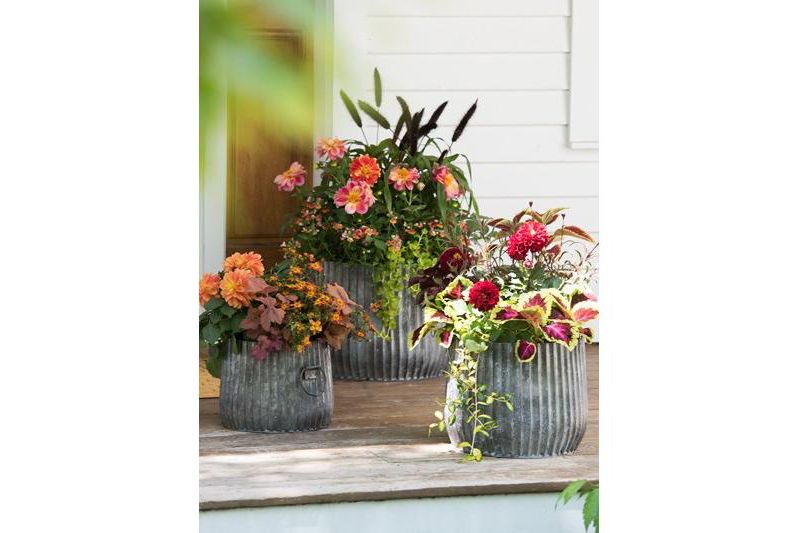 Galvanized Ribbed Barrel Planter, 12" - Gardener's Supply Company